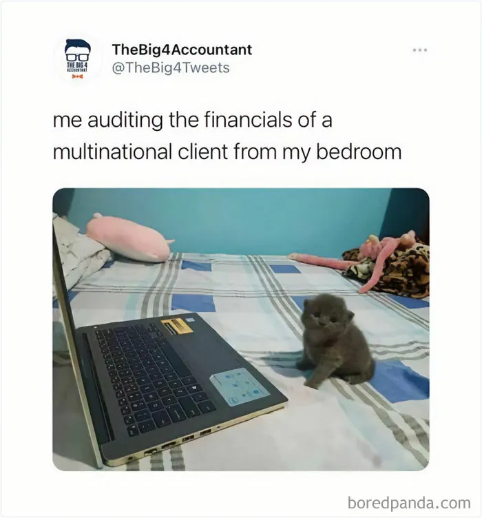 50 Hilarious Accounting Memes That Might Balance Your Stress Levels