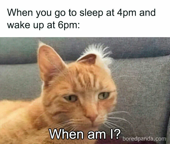 35 Funny And Relatable Memes To Kick Off 2025 With A Good Laugh (New Pics)