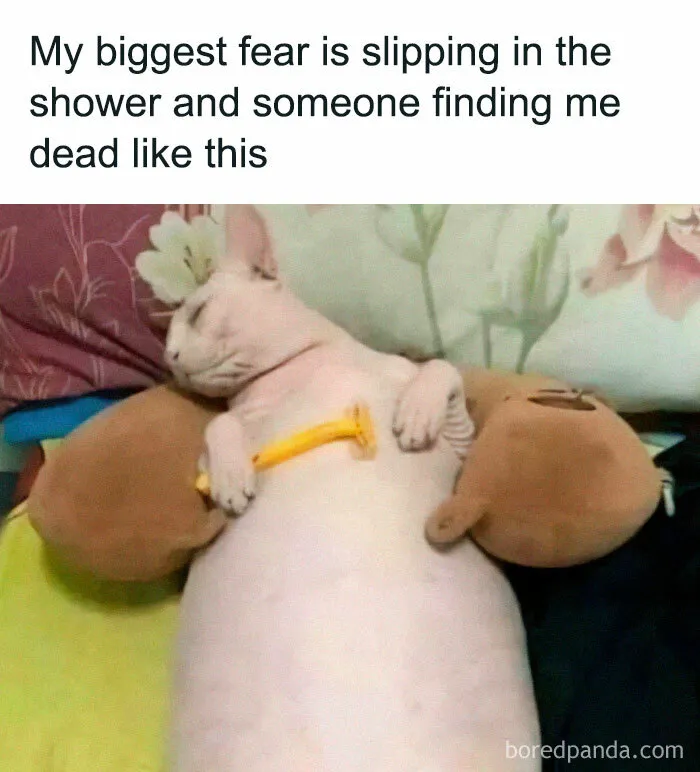 35 Funny And Relatable Memes To Kick Off 2025 With A Good Laugh (New Pics)