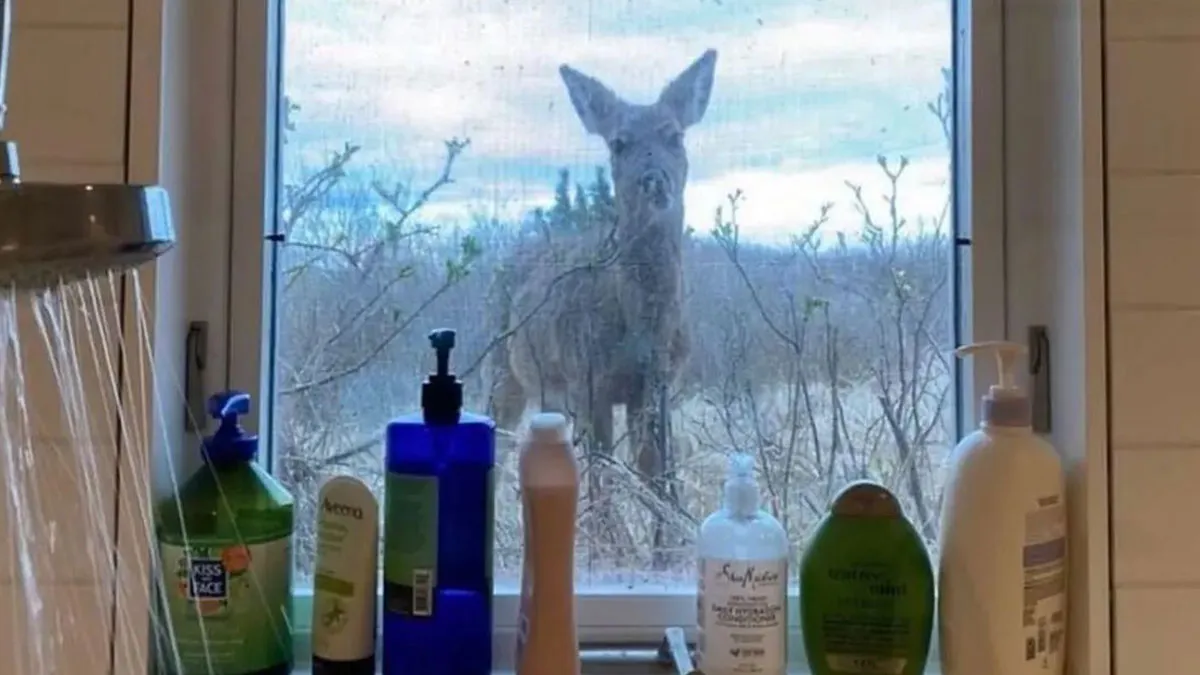 IG Account Posts Pics So Adorable, It’s Basically The Opposite Of Doom Scrolling (30 Pics)