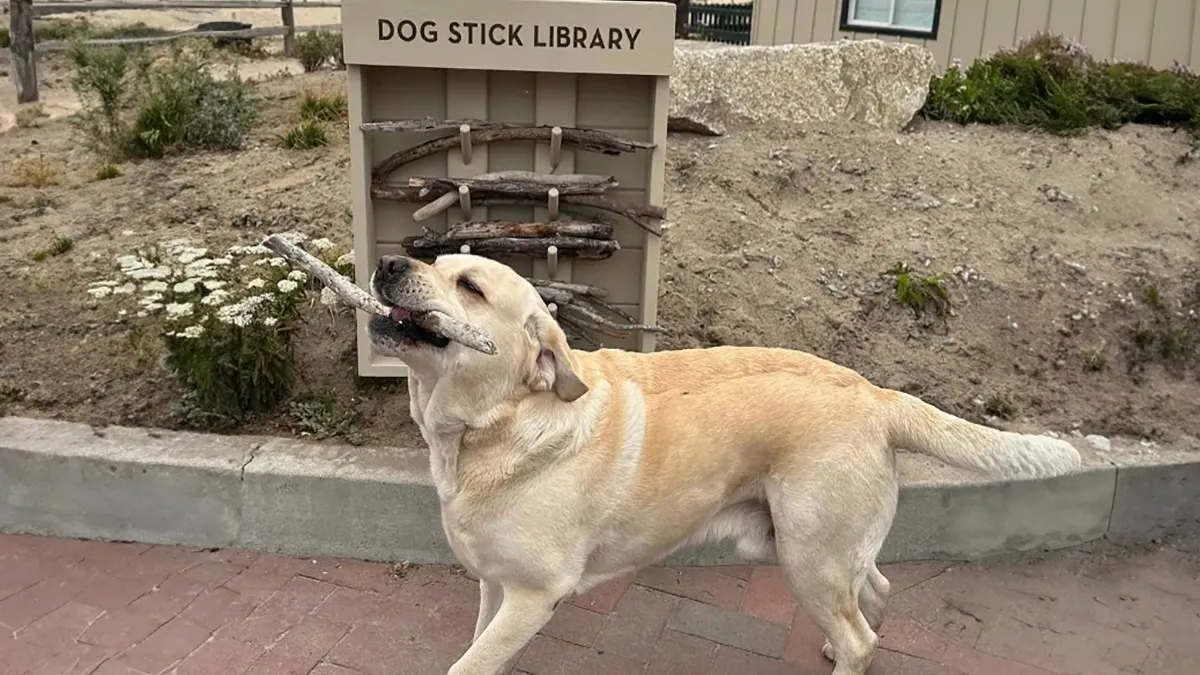 Adorable Idea Of Stick Library For Dogs Is Melting People’s Hearts All Over The Internet