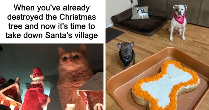 Spoil Your Furry Family: 22 Gifts For Pets And Their Devoted Parents