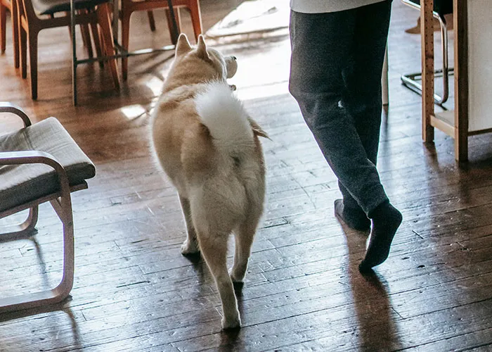 30 Times People Were Shocked By What They Saw In Someone Else’s Home
