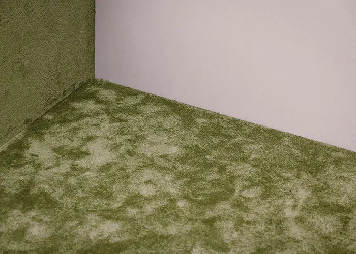 30 Times People Were Shocked By What They Saw In Someone Else’s Home