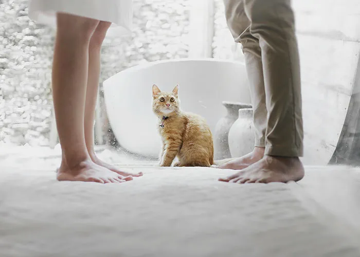 30 Times People Were Shocked By What They Saw In Someone Else’s Home