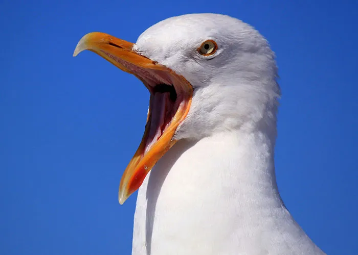 30 Times People Were Shocked By What They Saw In Someone Else’s Home