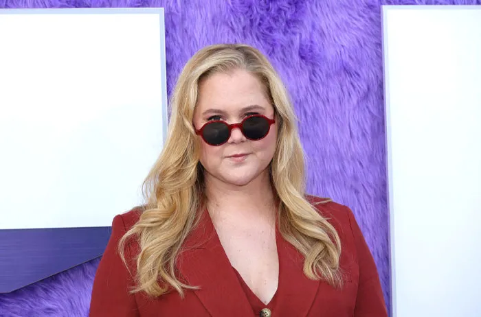 Amy Schumer as Velvet