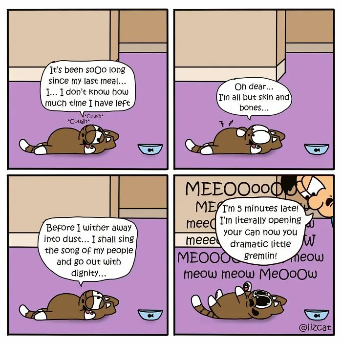 20 Funny New Comics By Nick Filippou That Nail Life With A Cat