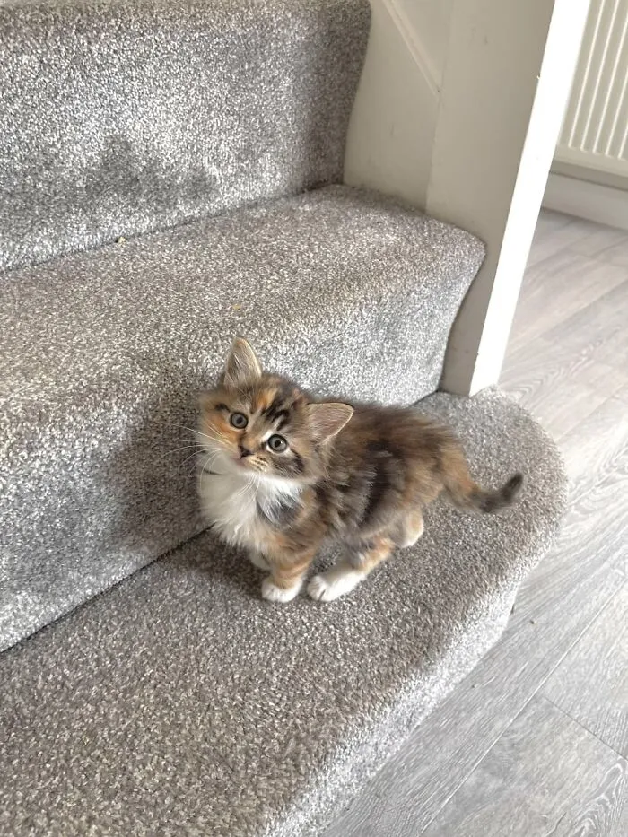 I Think Olive Is Going To Be The Next Best Super Model...