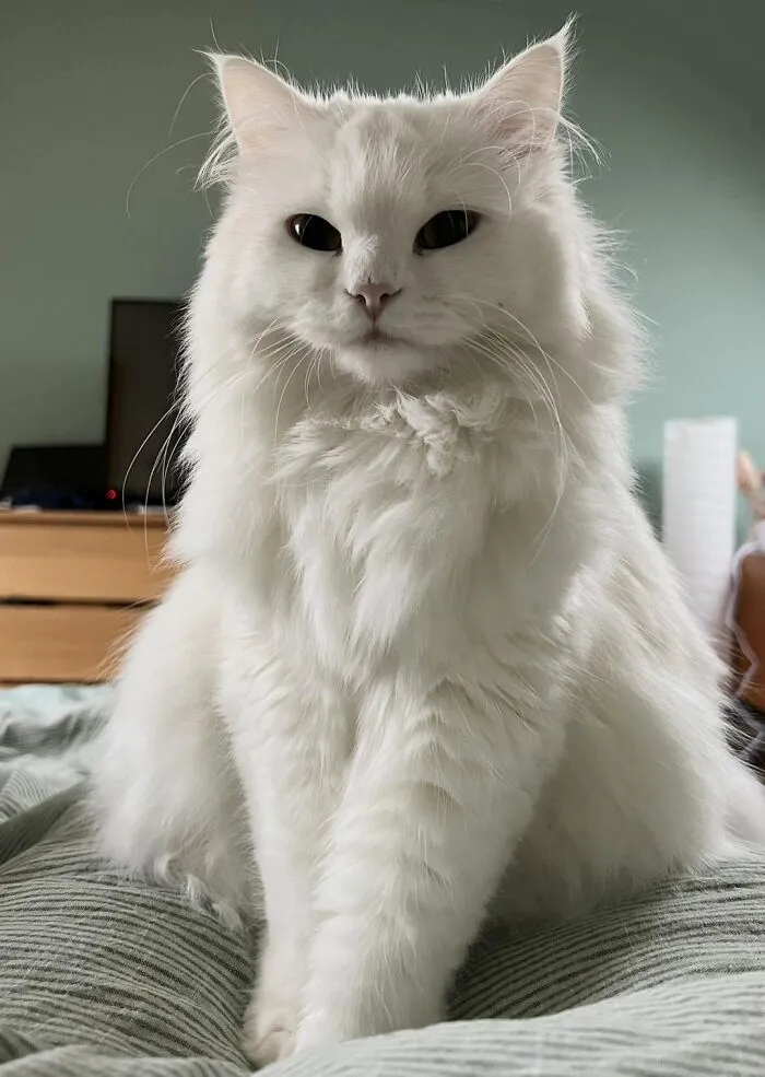 Fiona ☁️