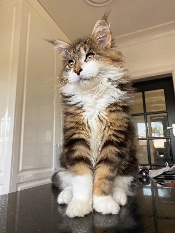 If Ferdinand Wants A Career In Modelling, We’ll Support Him. We Want Him To Make His Own Decisions And Not Push Him Into It
