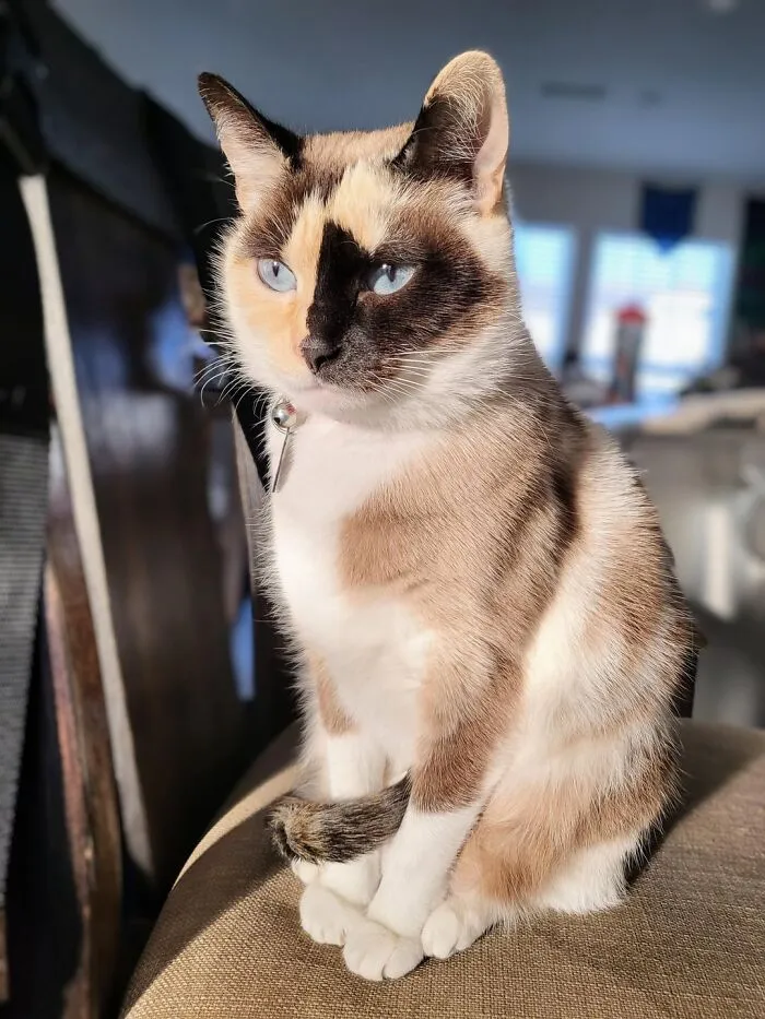 I Was Told That Zen May Do Well Here 😄