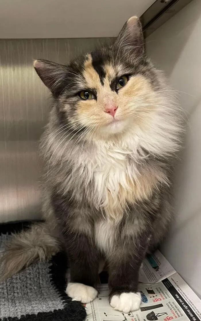 My New Rescue. I Was Told She May Fit In Here