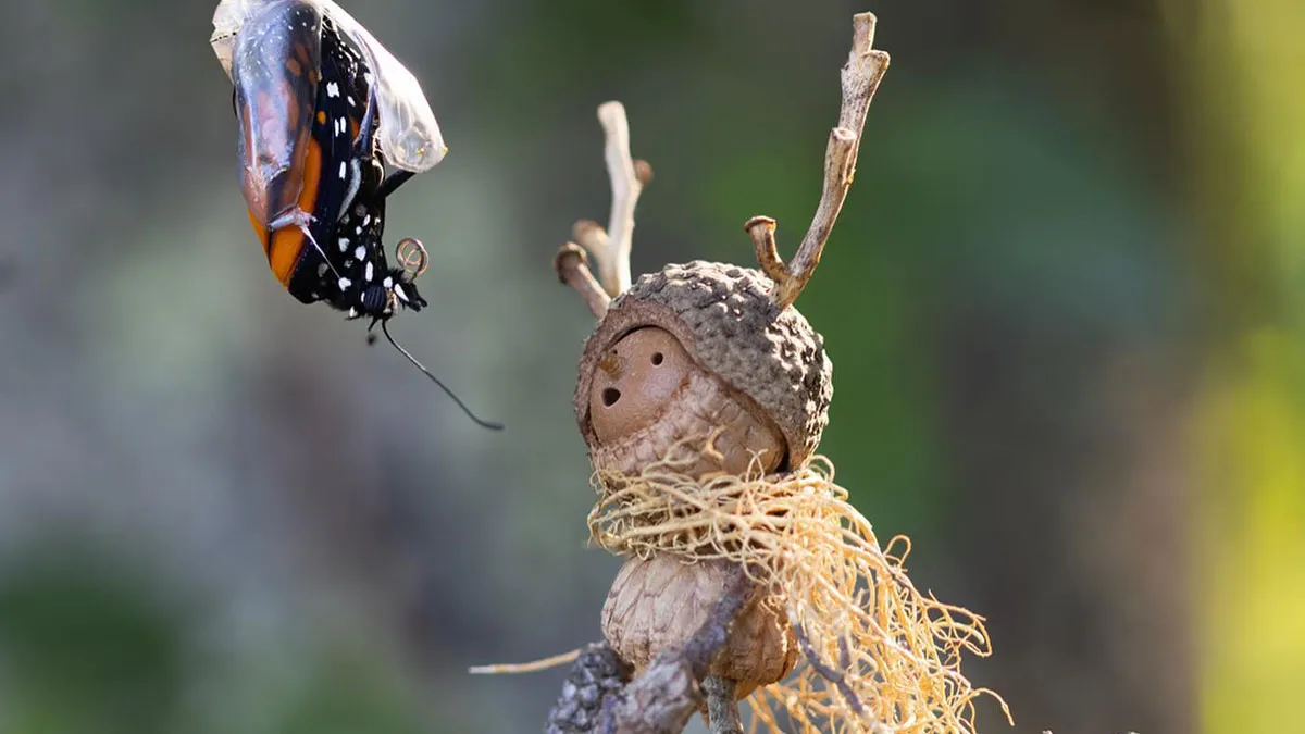 Becorns: This Ex-LEGO Designer Traded Plastic Bricks For Acorns And Sticks (30 Pics)