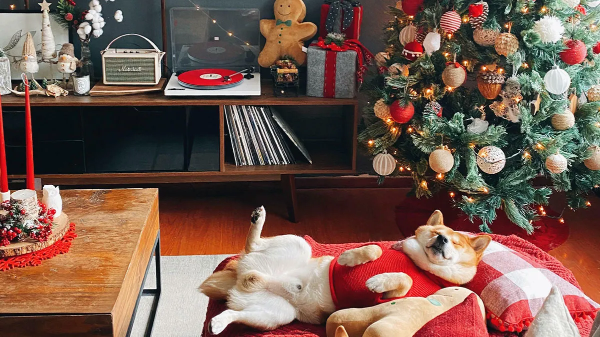 40 Times Creative People Nailed Their Christmas Decor (New Pics)