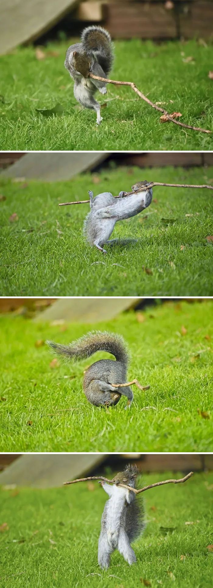 Portfolio Award Winner: Flynn Thaitanunde-Lobb "Dancing To The Music, Rock Guitar, Roly Poly, Weight Lifting"