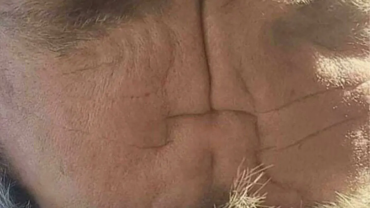 “Had To Do A Double Take”: 30 Confusing Pics That Prove It’s All About Perspective (New Pics)