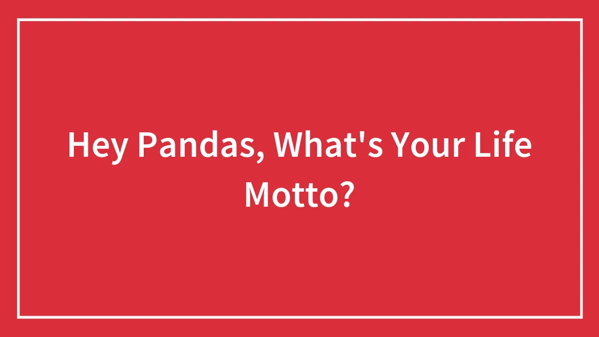 Hey Pandas, What's Your Life Motto? (Closed)