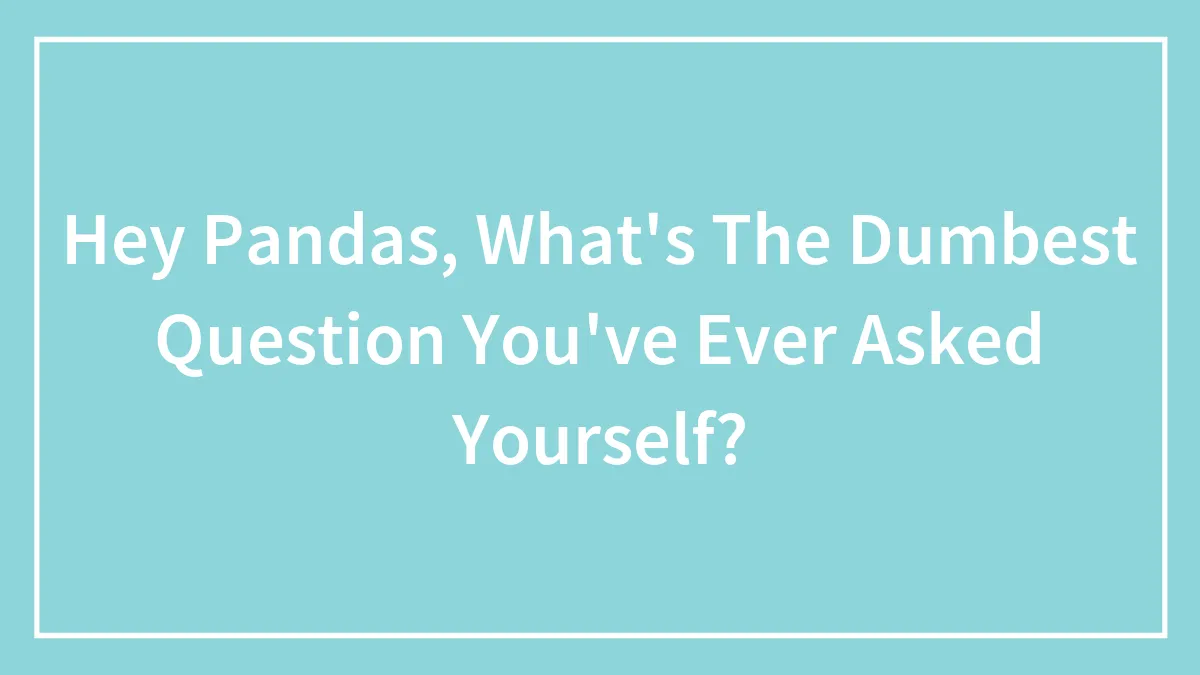 Hey Pandas, What's The Dumbest Question You've Ever Asked Yourself? (Closed)