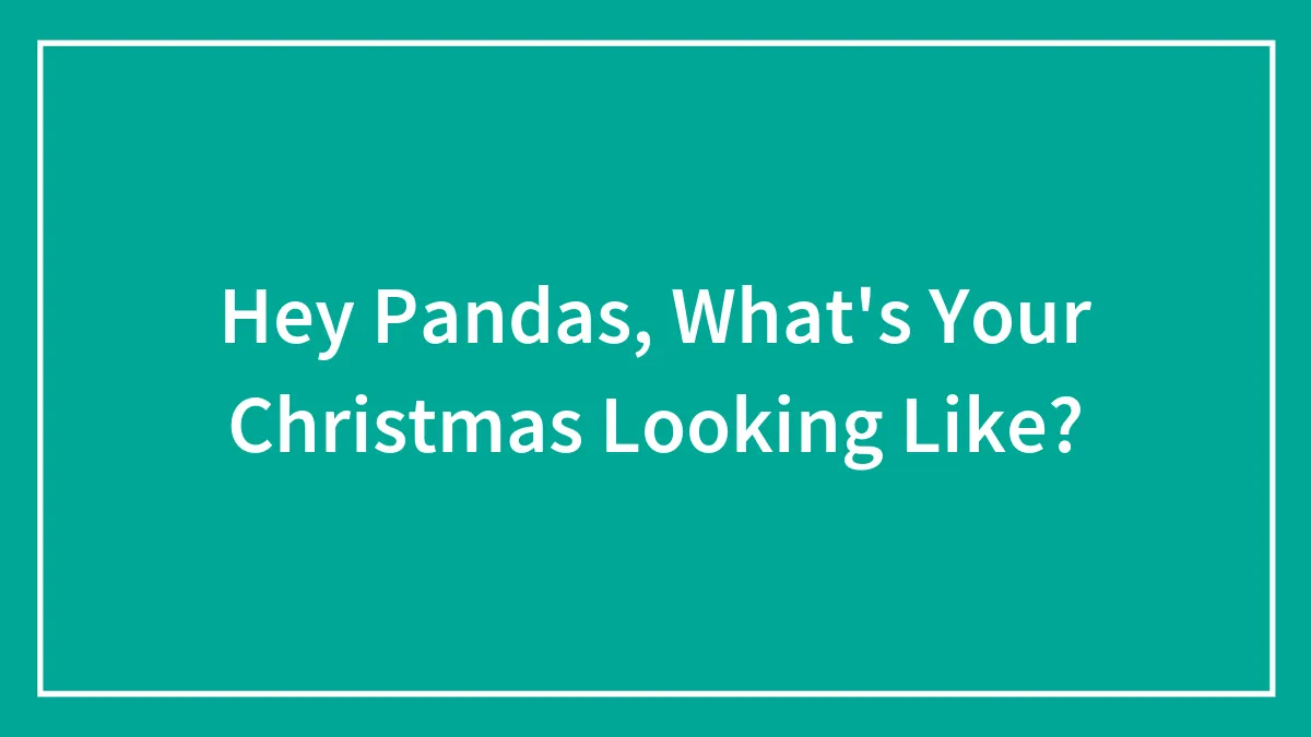 Hey Pandas, What's Your Christmas Looking Like? (Closed)