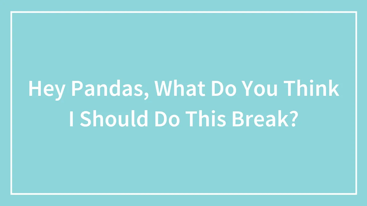 Hey Pandas, What Do You Think I Should Do This Break? (Closed)