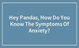 Hey Pandas, How Do You Know The Symptoms Of Anxiety?