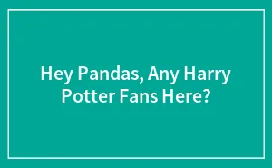 Hey Pandas, Any Harry Potter Fans Here? (Closed)