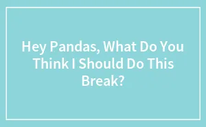 Hey Pandas, What Do You Think I Should Do This Break? (Closed)