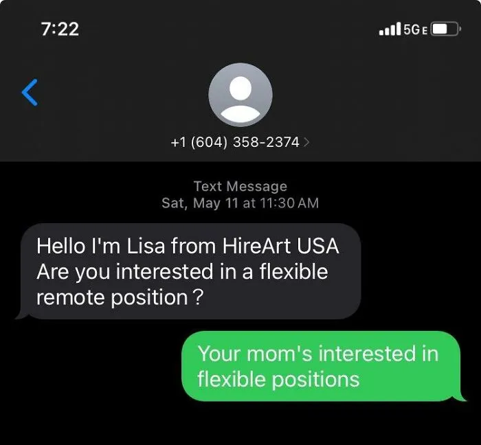 The Person Who Expertly Hit A Scammer With A "Your Mom" Joke