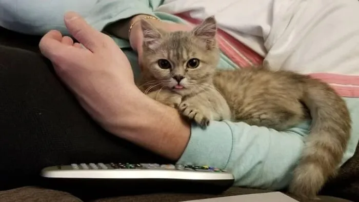 Our Brand New Little Girl Blepped Injust 4 Days