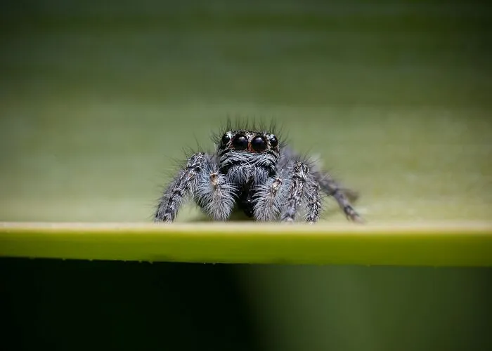 30 Unusual Facts No One Really Asked For, But Are Pretty Cool To Know