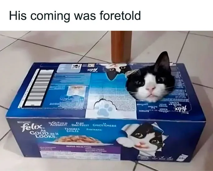 He Has Come For Your Toes