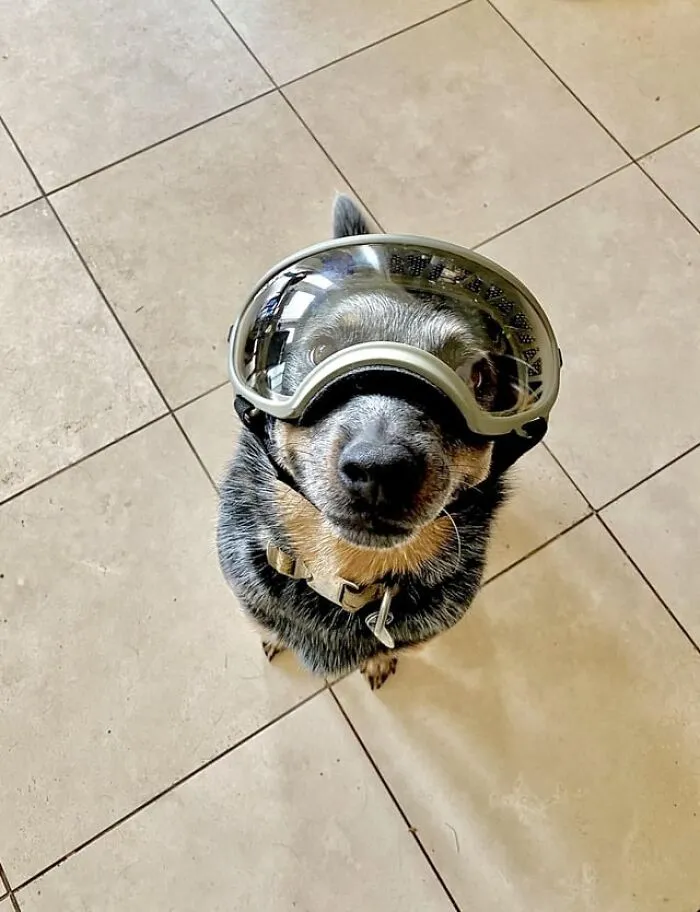 Lt. Gwen Reporting For Duty