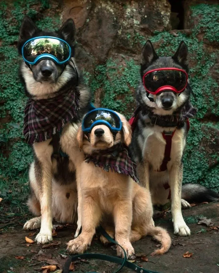 Squad
