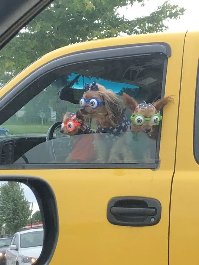 Saw This Today, Was Not Disappointed