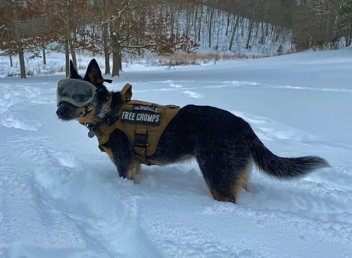 12 Inches Of Snow, Gwen Doesn’t Care