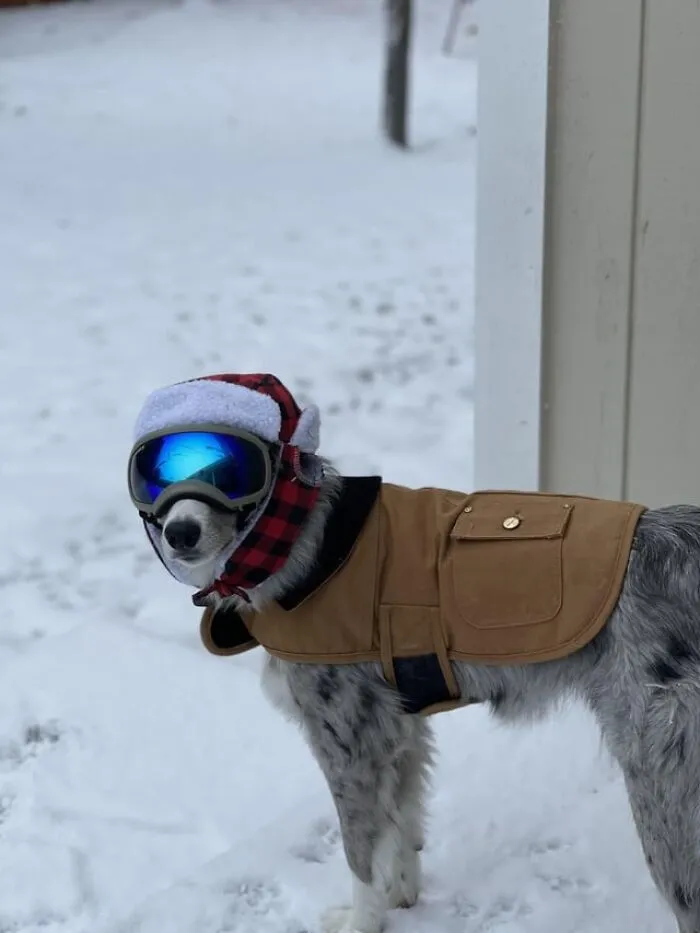 Christmas Morning Snow Day