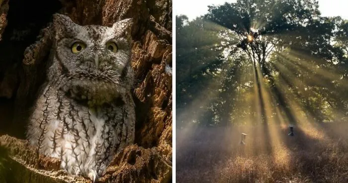 Rockefeller State Park Preserve’s Photography Exhibit Showcasing Works Of 30 Photographers
