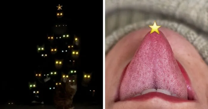 8 Quirky Christmas Cards By Maayan Sophia Weisstub