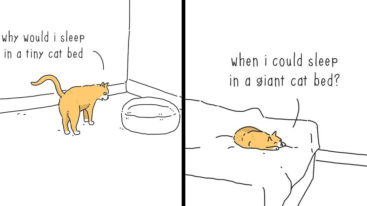Funny New “They Can Talk” Comics By Jimmy Craig Show Animals With A Voice (21 Pics)