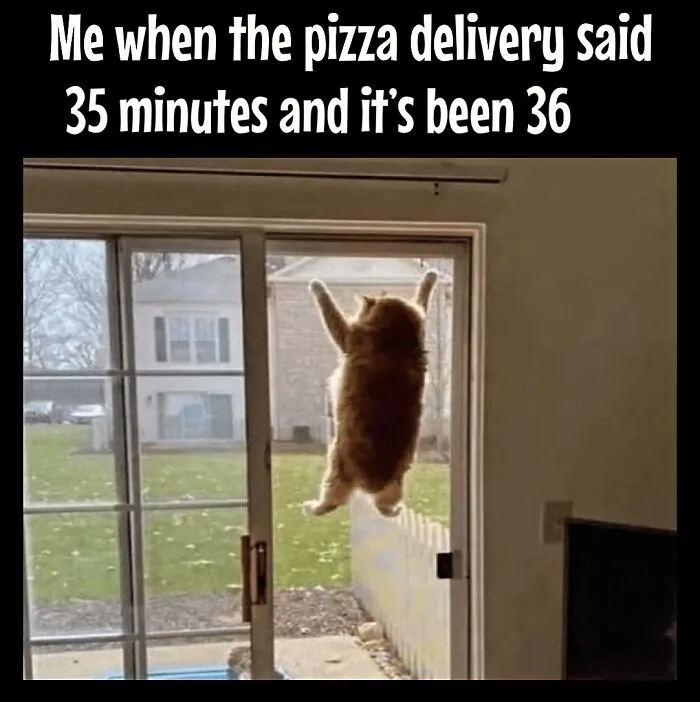 50 Hilarious Memes That Capture The Frustrations Of Dieting And Weight Loss