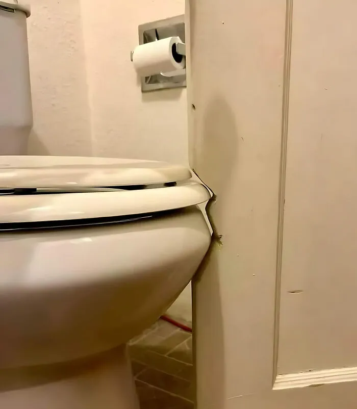 Toilet seat trapped behind door, a hilarious construction fail.