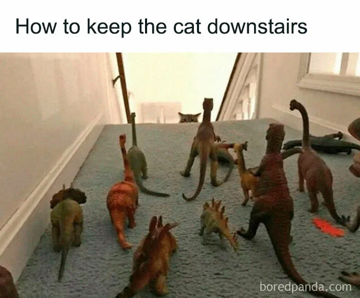 50 Funniest Dinosaur Memes For People With A Prehistoric Sense Of Humor
