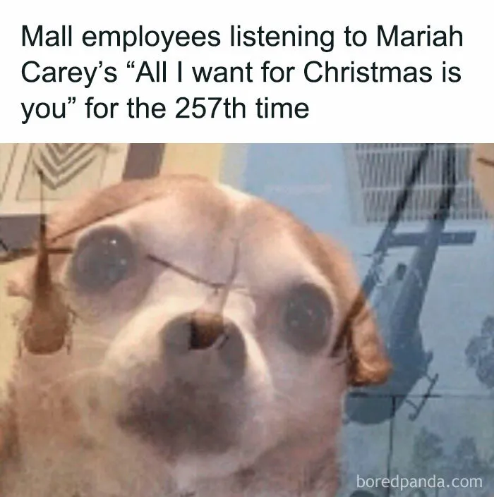 40 Funny Christmas Memes Even Santa Would Approve Of