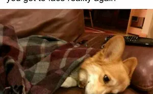 40 Funny Christmas Memes Even Santa Would Approve Of