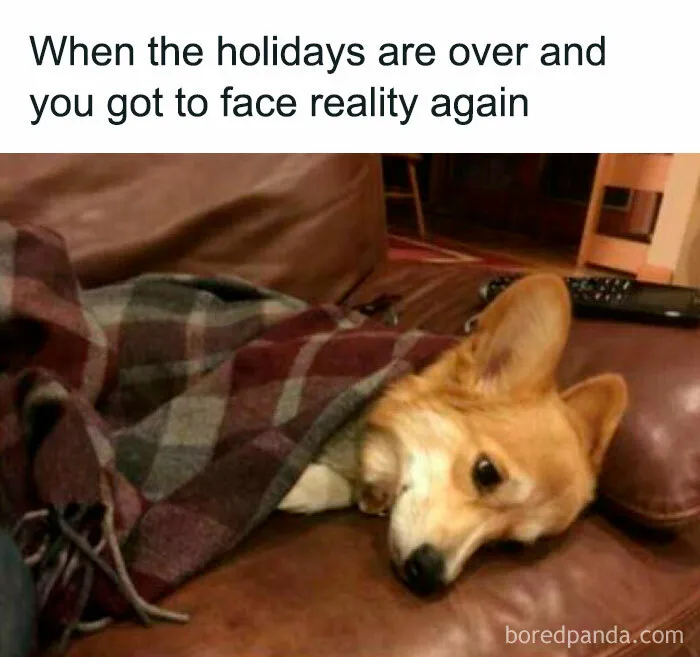 Funny-Hilarious-Christmas-Memes