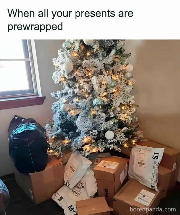 40 Funny Christmas Memes Even Santa Would Approve Of
