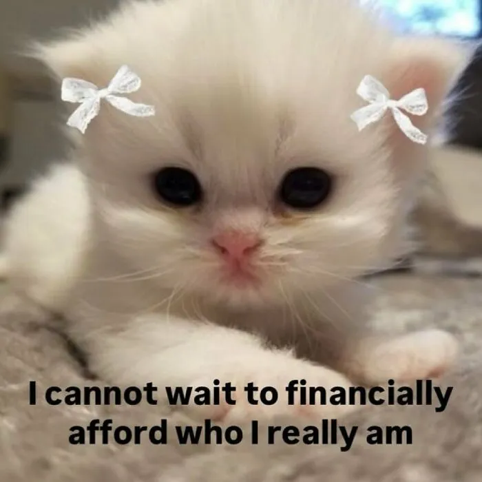 “Surviving On Caffeine And Rage”: 39 Funny Cat Memes That Are Instantly Relatable