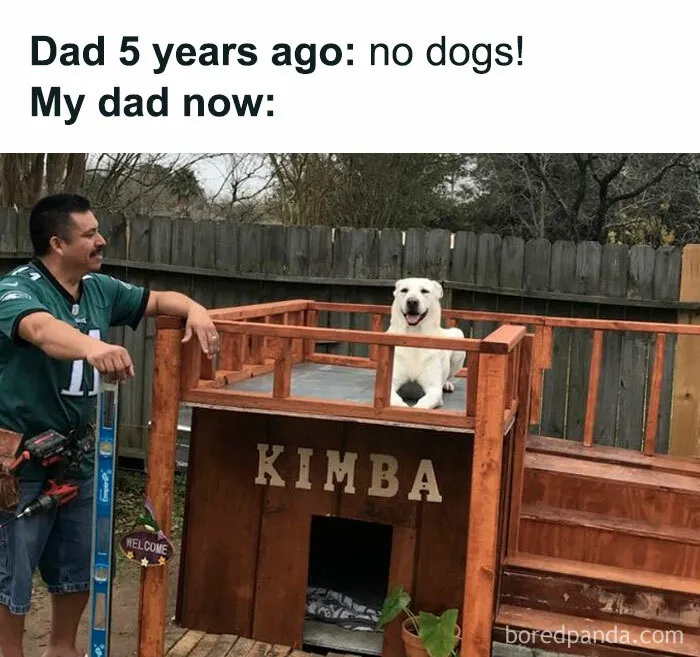 50 Wholesome Animal Memes That Might Just Turn Your Day Around