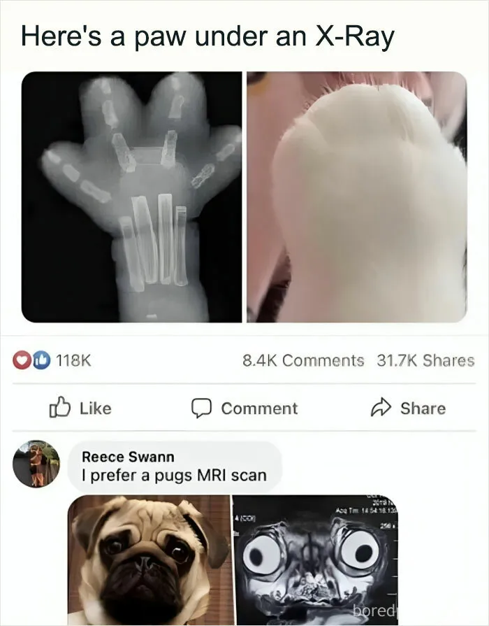 1.7M People Are Crying Laughing At The Memes From This Page, So Here Are The 49 Best